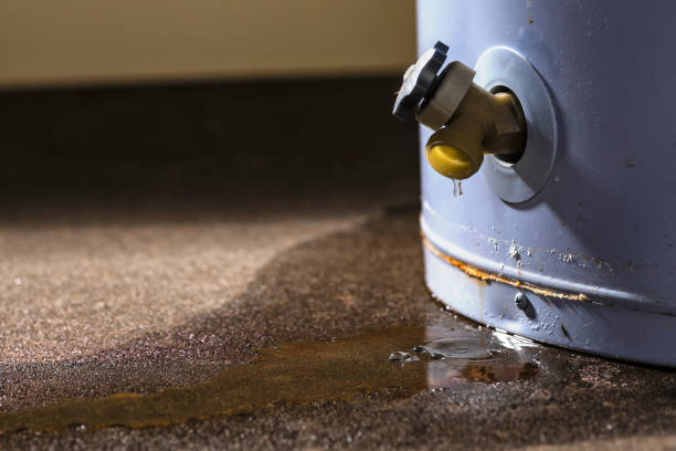 Best Flood restoration services  in Gibbstown, NJ