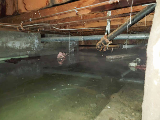  Gibbstown, NJ Water damage restoration Pros
