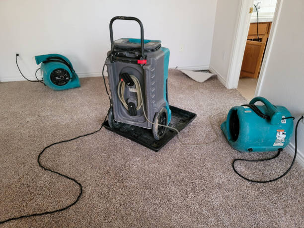 Best Carpet water damage restoration  in Gibbstown, NJ