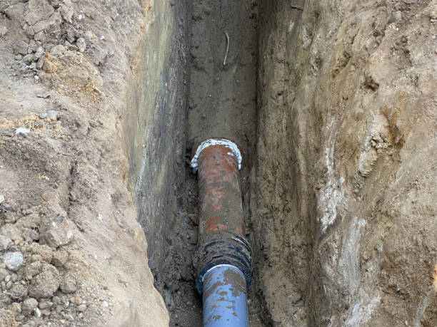 Best Professional water damage repair  in Gibbstown, NJ