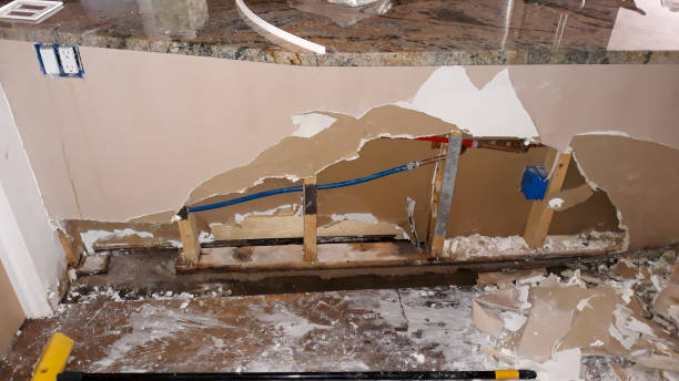 Best Carpet water damage restoration  in Gibbstown, NJ