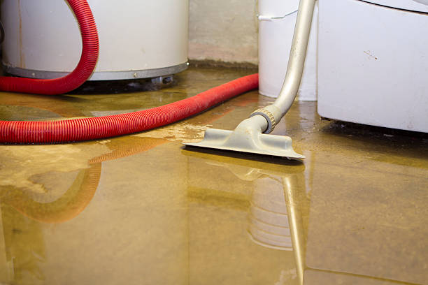 Best Fire Damage Restoration  in Gibbstown, NJ