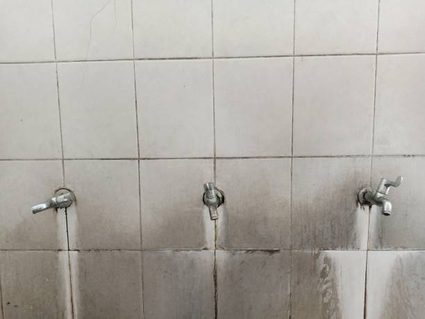 Best Basement water damage restoration  in Gibbstown, NJ