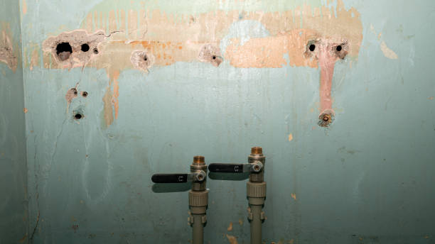 Best Water damage repair service  in Gibbstown, NJ