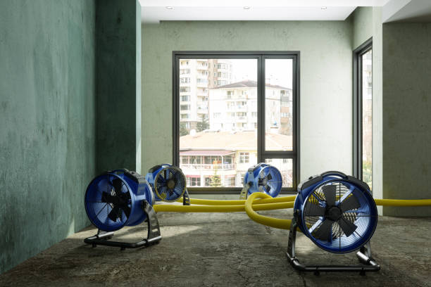 Best Residential water damage restoration  in Gibbstown, NJ