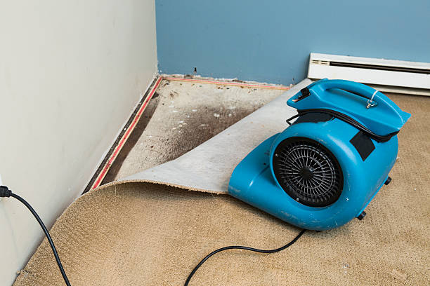 Best Water damage restoration near me  in Gibbstown, NJ