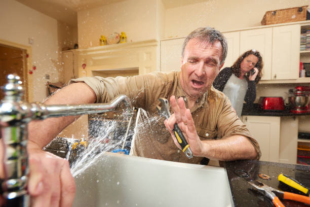 Best Mold removal after water damage  in Gibbstown, NJ